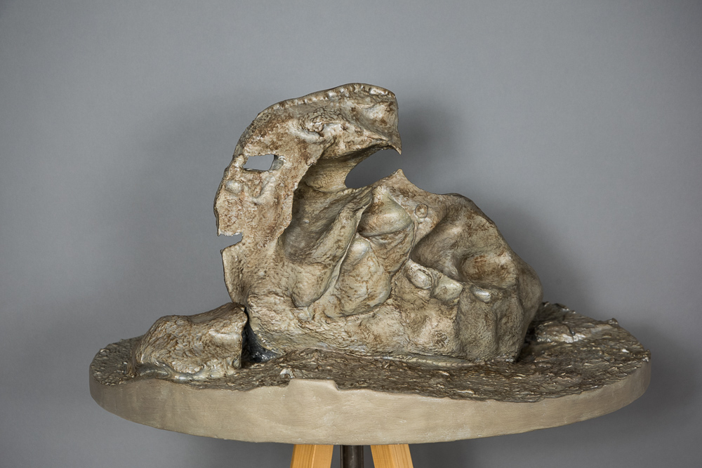 "Bird" Ventifact, Dry Valleys, Antarctica acrylic on 3D-printed PLA plastic and polymer-modified gypsum 2016 16 x 29.5 x 29.5 inches