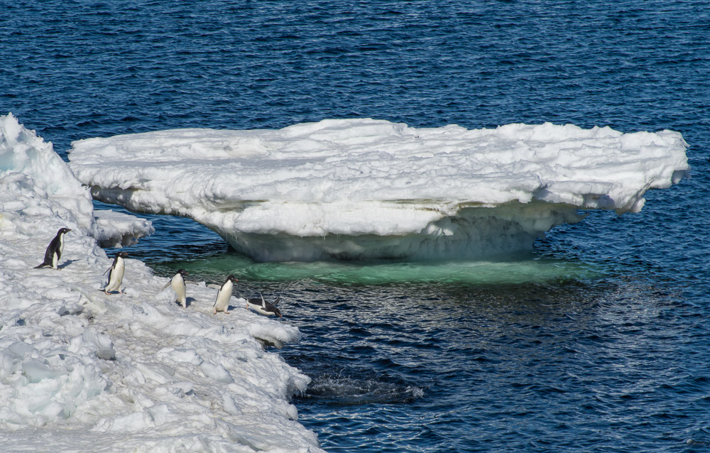 Into the Ocean, Cape Royds, Antarctica (2015), archival pigment print, 14.25 x 22.375 inches