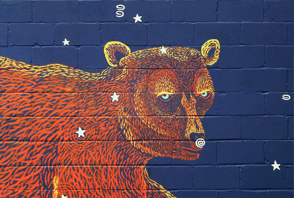 Detail of Ursa Major, The Great Bear