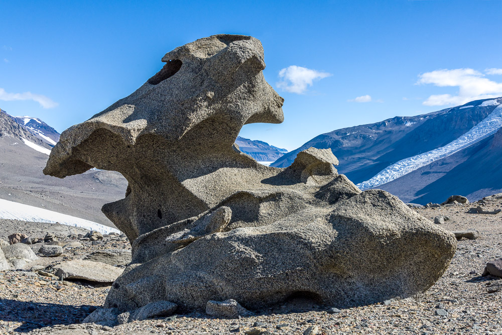 "Pterodactyl" Ventifact, Dry Valleys, Antarctica