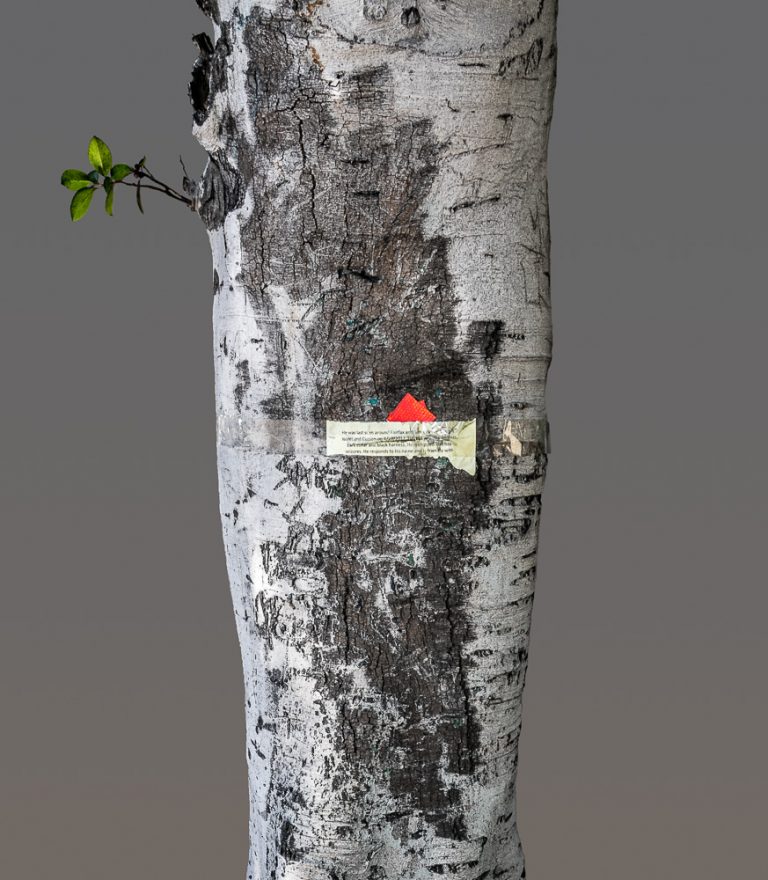 He Responds to His Name (2017/2019) archival pigment print