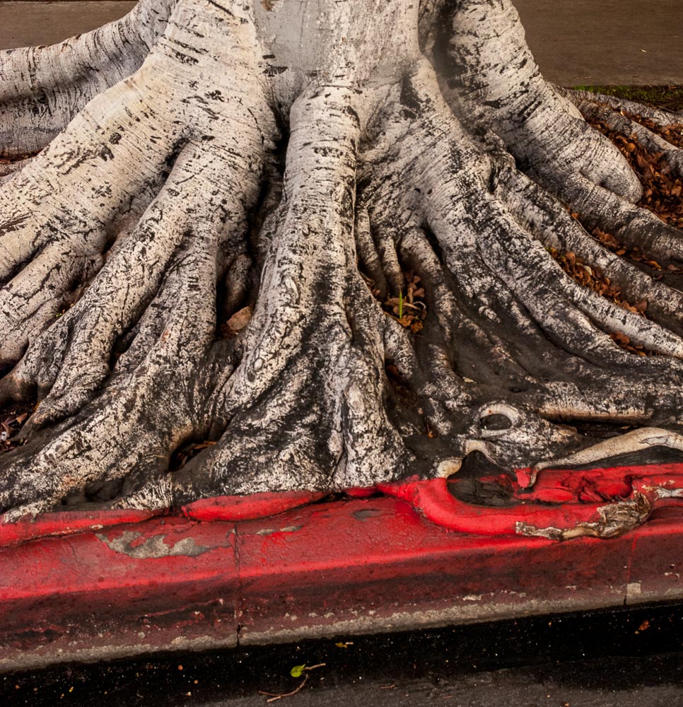 Red Curb