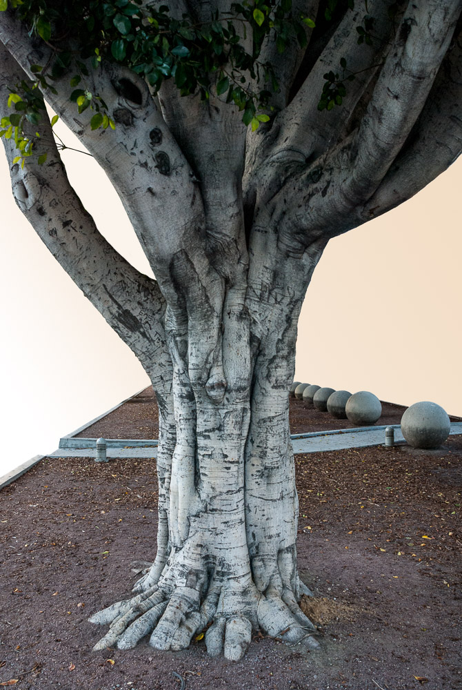 Helen Glazer, Totem