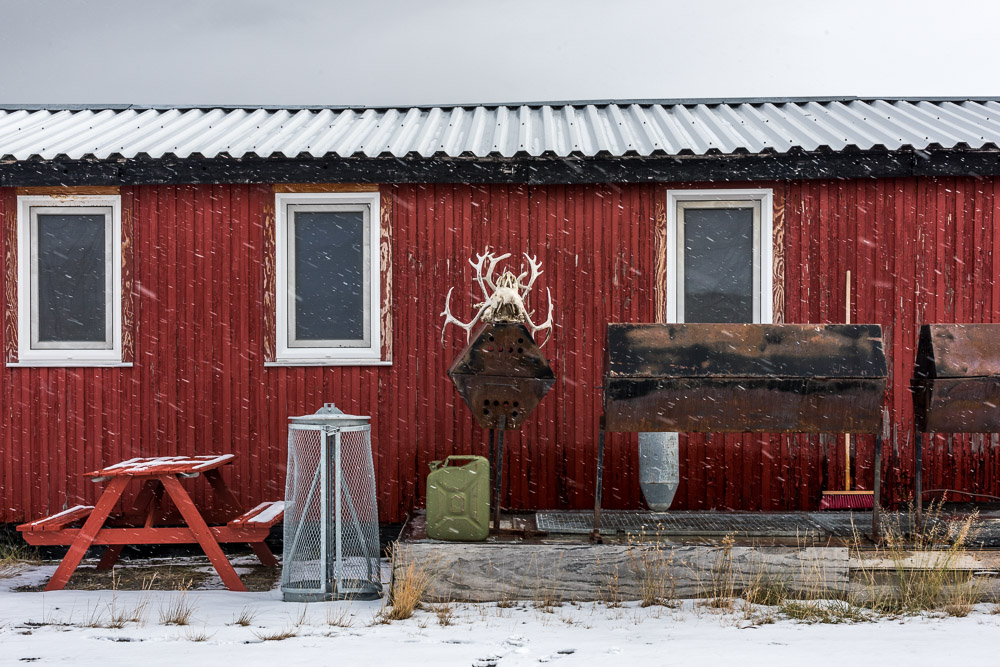 Caribou skulls and antlers set out beside Restaurant Roklubben as snow falls